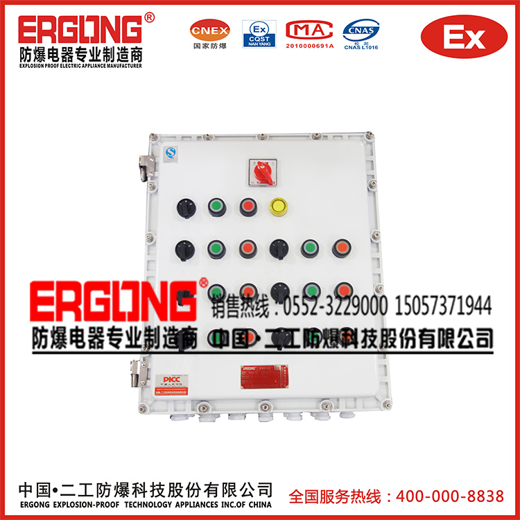 IP65優質防爆配電（控制）箱