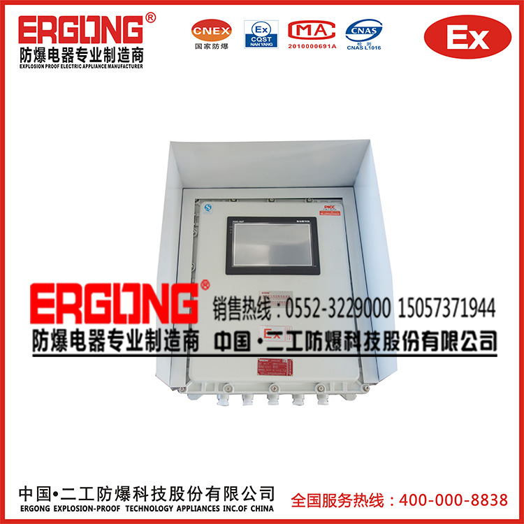 獨特定制防雨防雪防爆配電箱