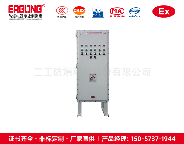 非標定制防爆柜