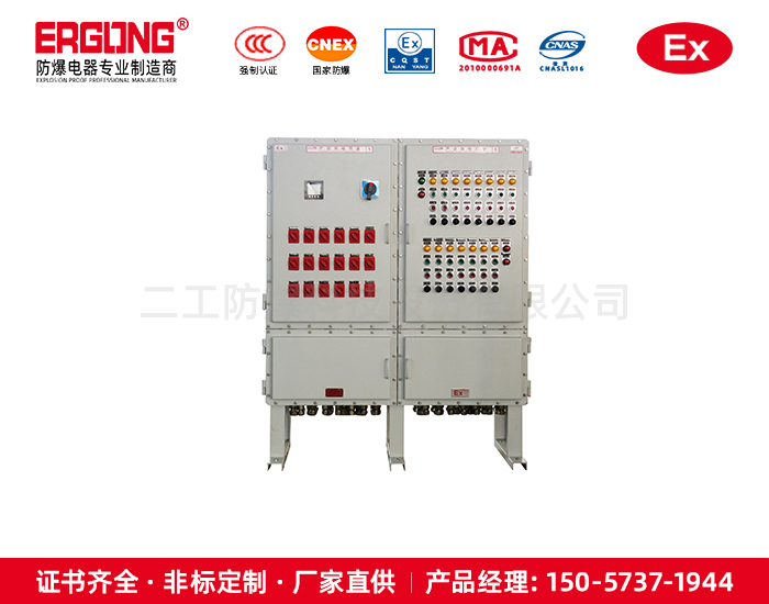 左右結構隔爆箱