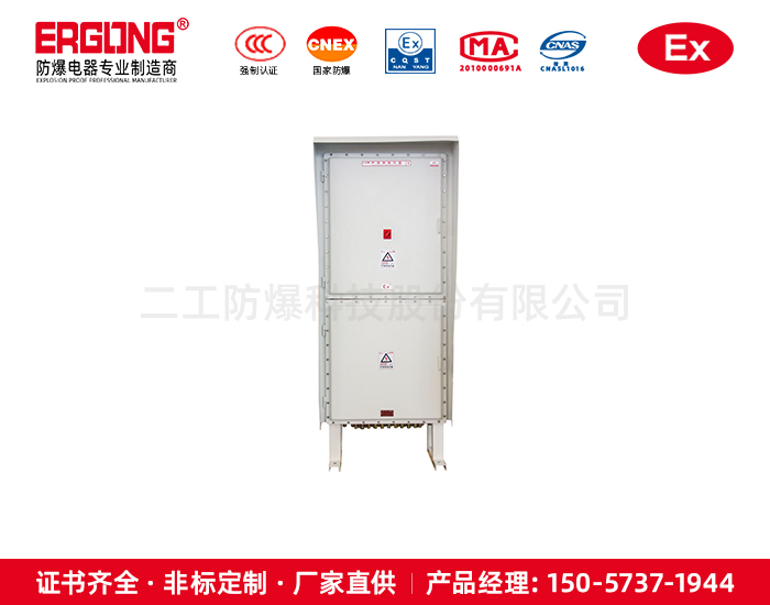 雙隔爆箱體上下結(jié)構(gòu)控制箱